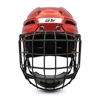 3D -gedruckte Auskleidung Schutzkopfschutz Eishockeyhelm